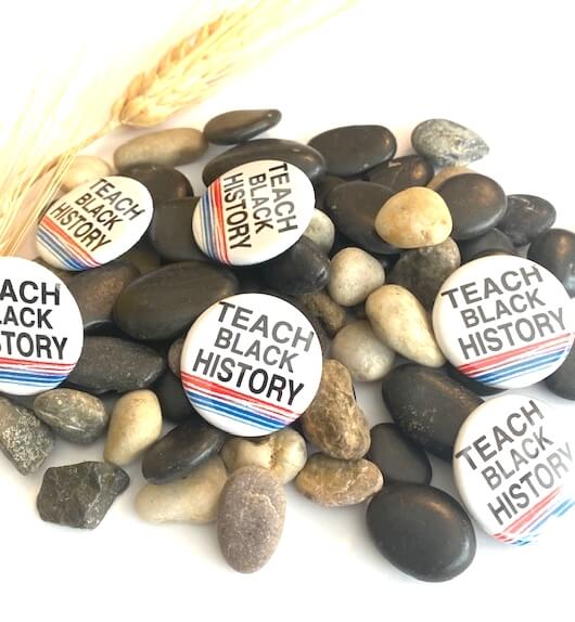 Teach Black History American History Pinback Button Educational Inspirational Empowerment School Our History Matters